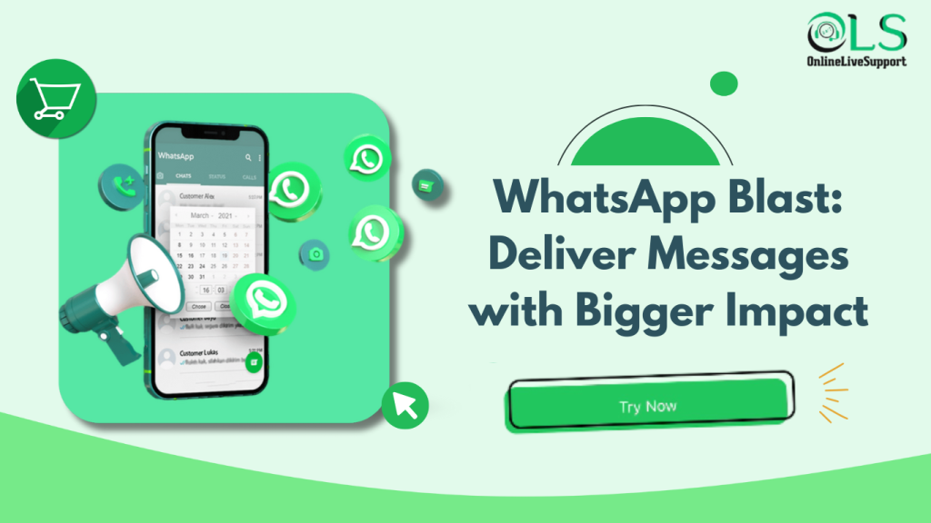 WhatsApp blast messaging